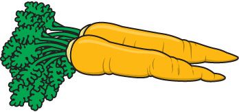 Unique best clipartion jpg. Carrot clipart animated