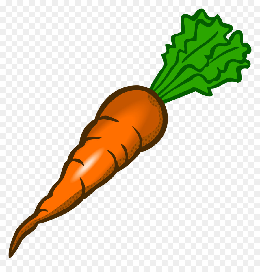 Carrots orange carrot