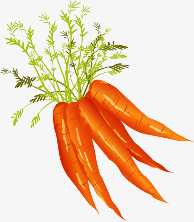 carrot clipart big carrot