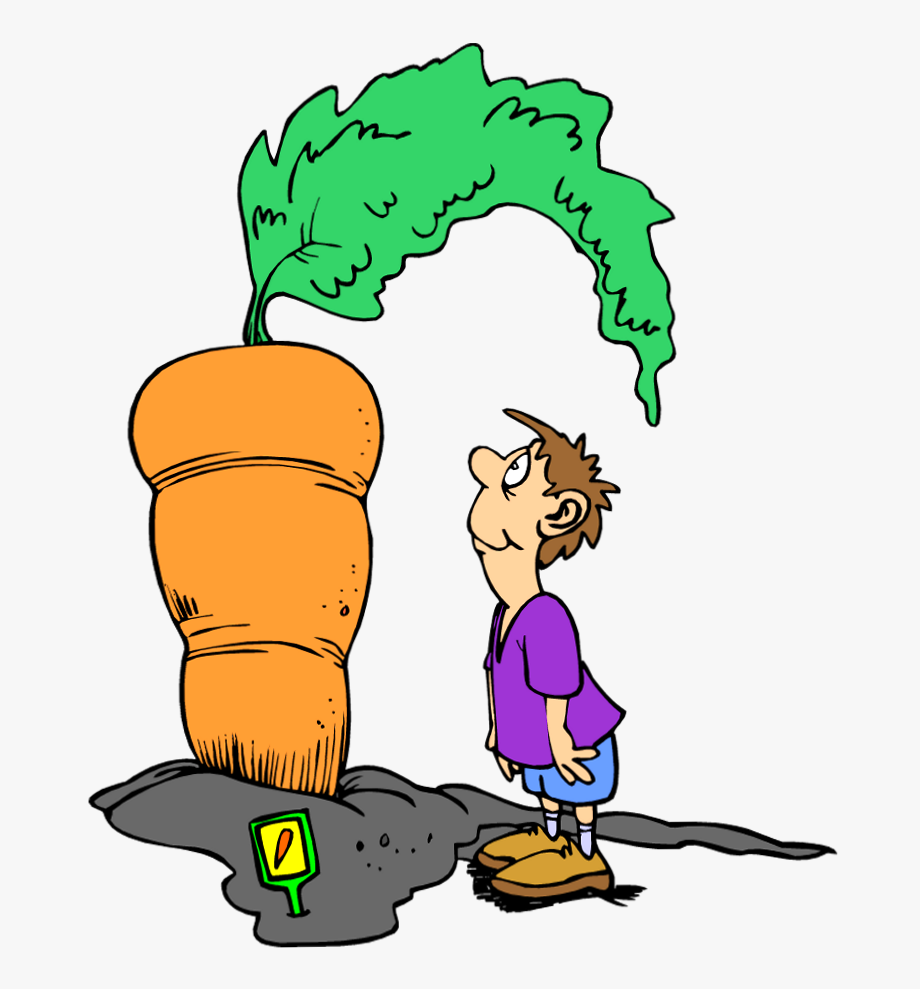 Bigger free . Carrots clipart big carrot