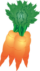 carrot clipart bunch carrot