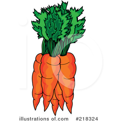 Carrots bunch carrot