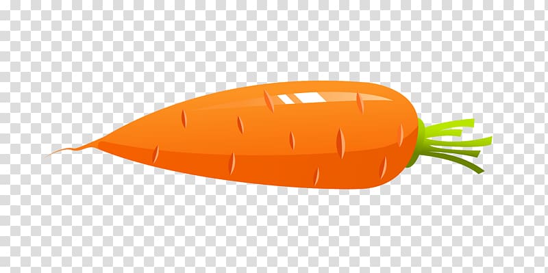 Orange transparent background png. Carrot clipart carret