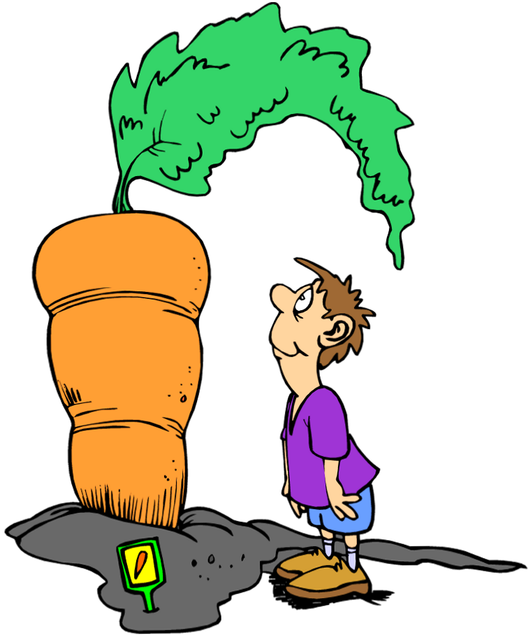 carrot clipart carret