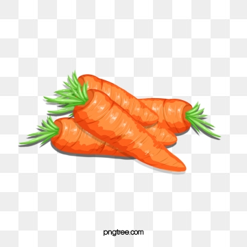 Carrot clipart carret. Png vector psd and