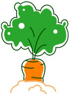 Carrot clipart carrot plant. From microsoft clip art