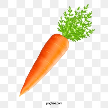 Carrot clipart carrrot, Carrot carrrot Transparent FREE for download on ...
