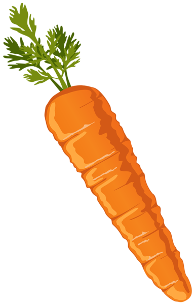 carrot clipart cartoon