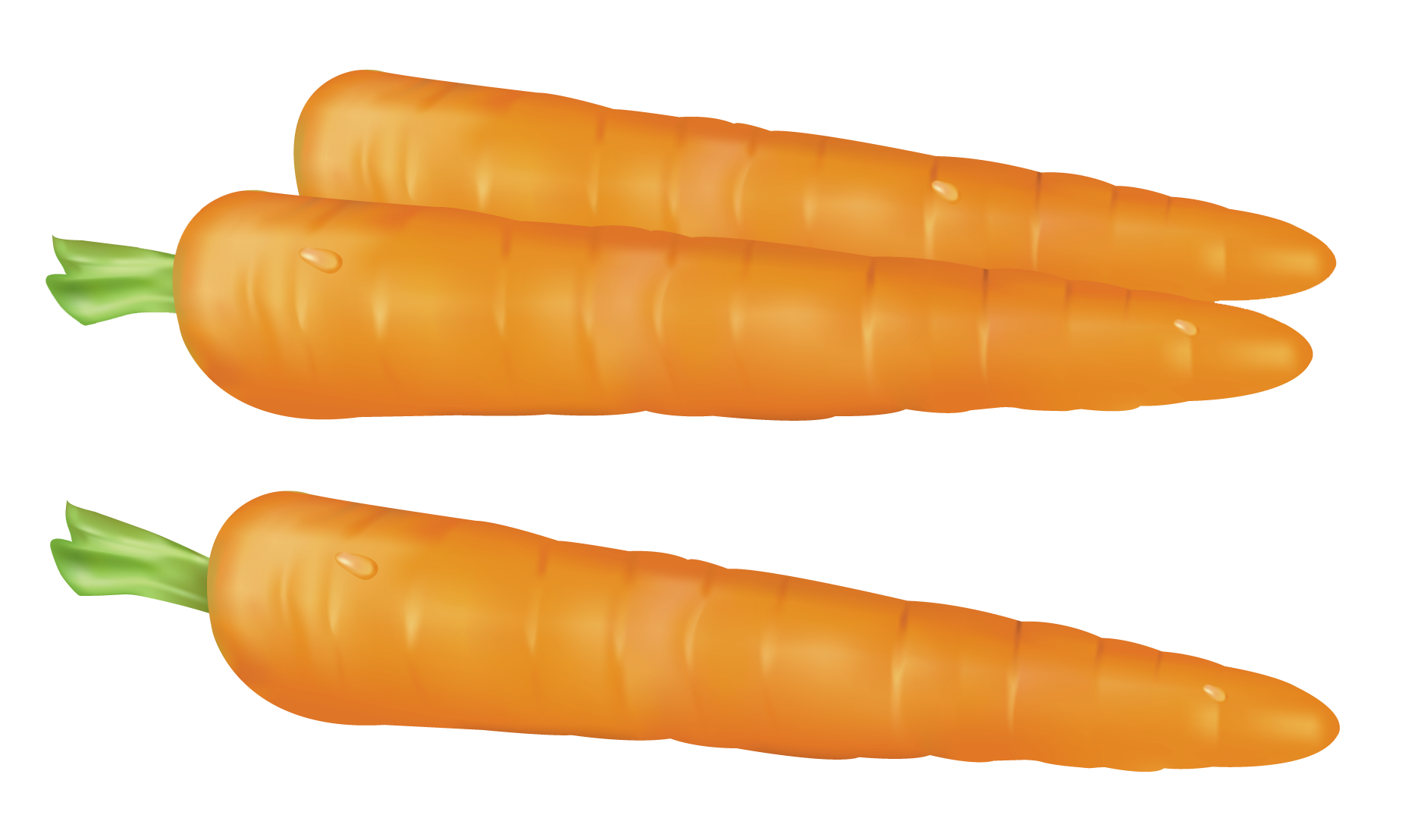 Background cliparts free download. Clipart vegetables carrot