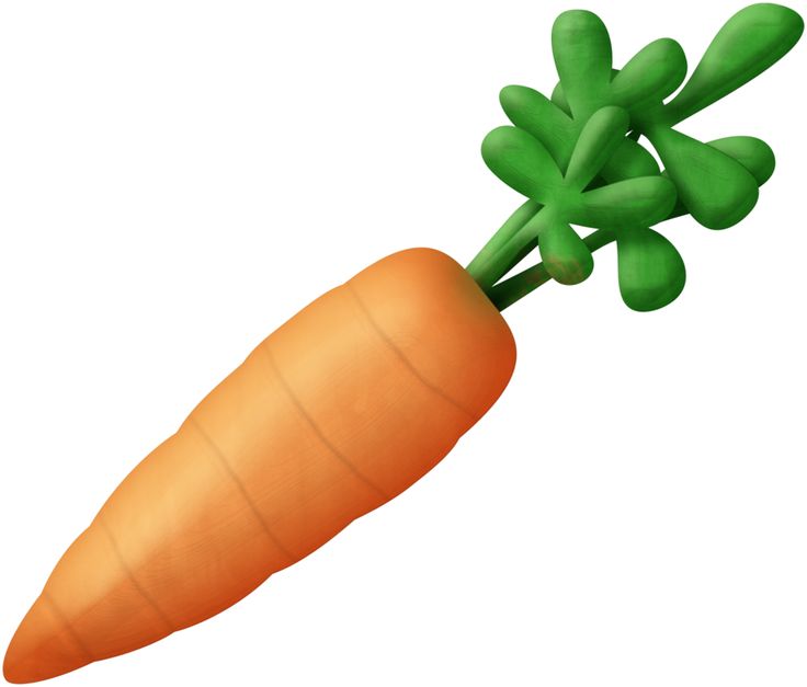 carrot clipart easter