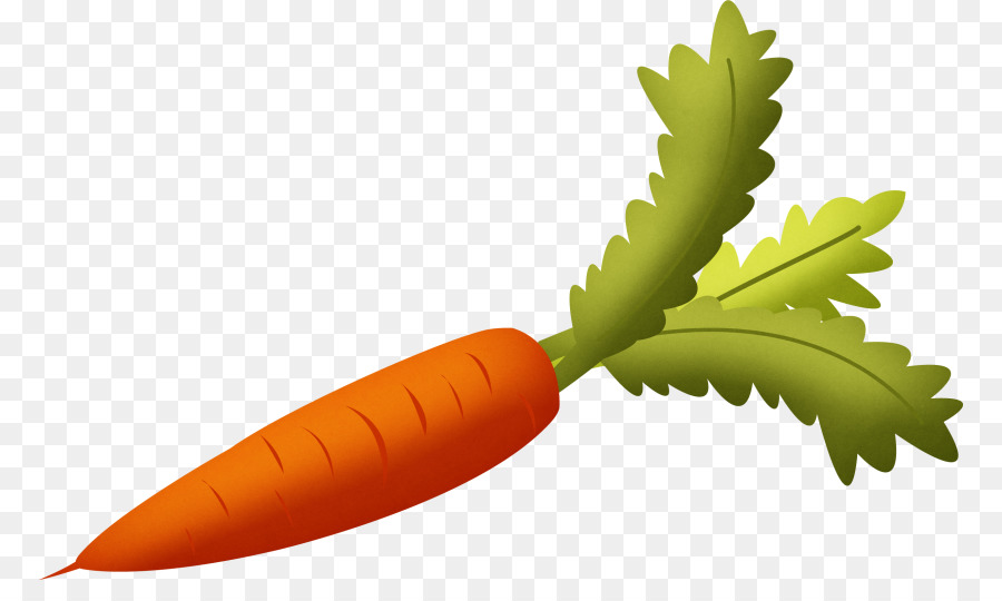 carrot clipart gajar