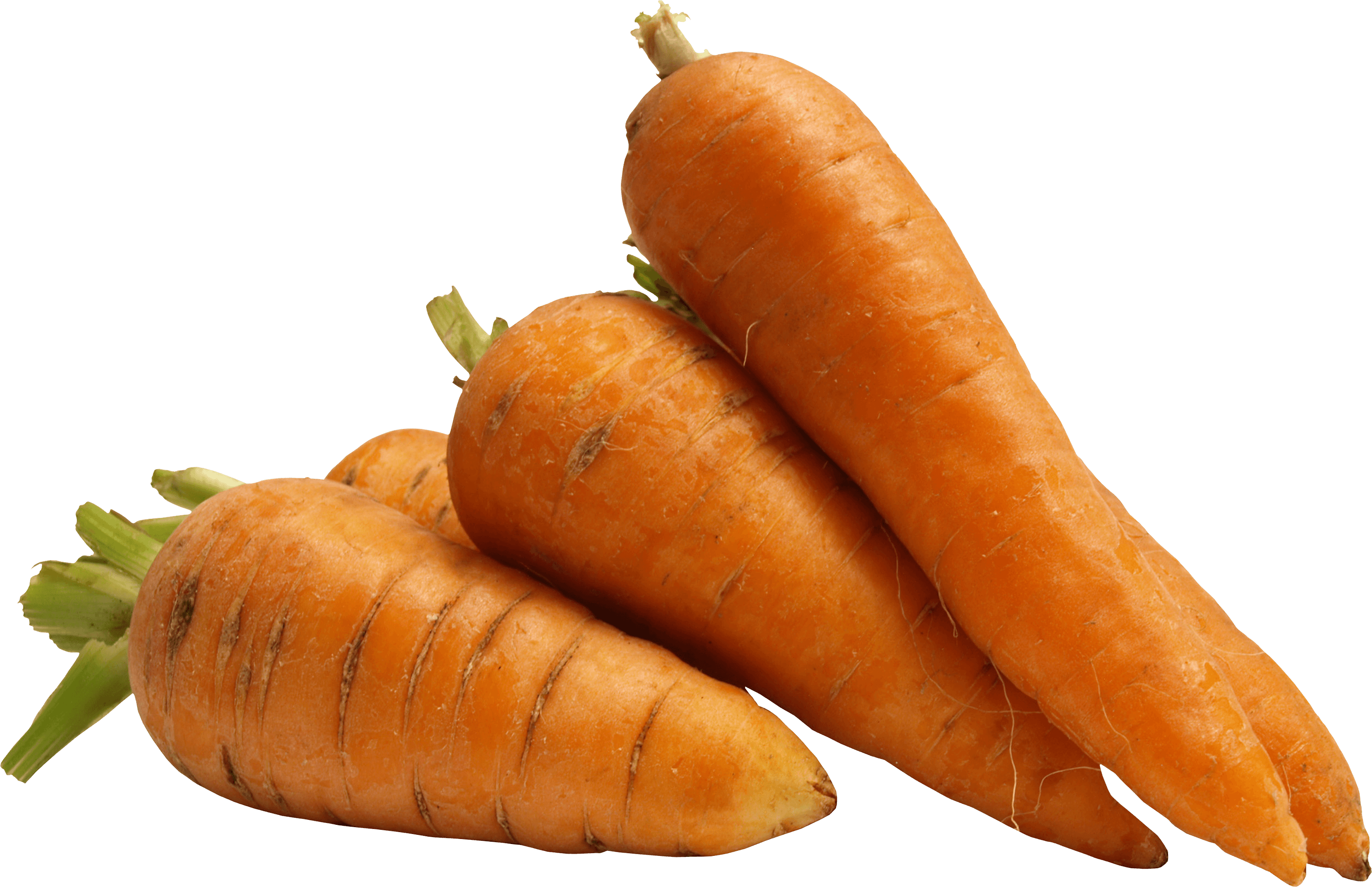 carrot clipart gajar