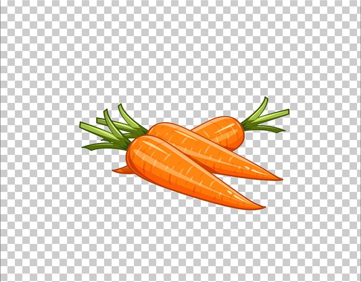 carrot clipart illustration