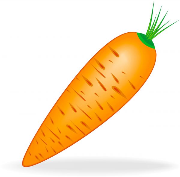 carrots clipart larawan