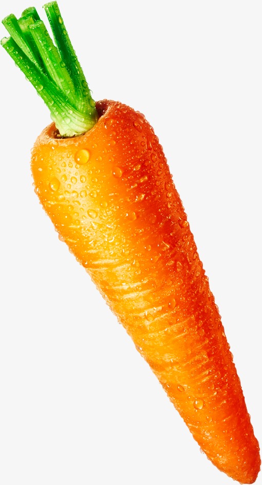 Vegetables png image and. Carrot clipart nutrition