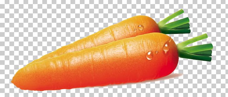 Vegetable food png baby. Carrot clipart nutrition