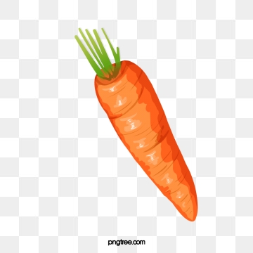 carrot clipart orange carrot