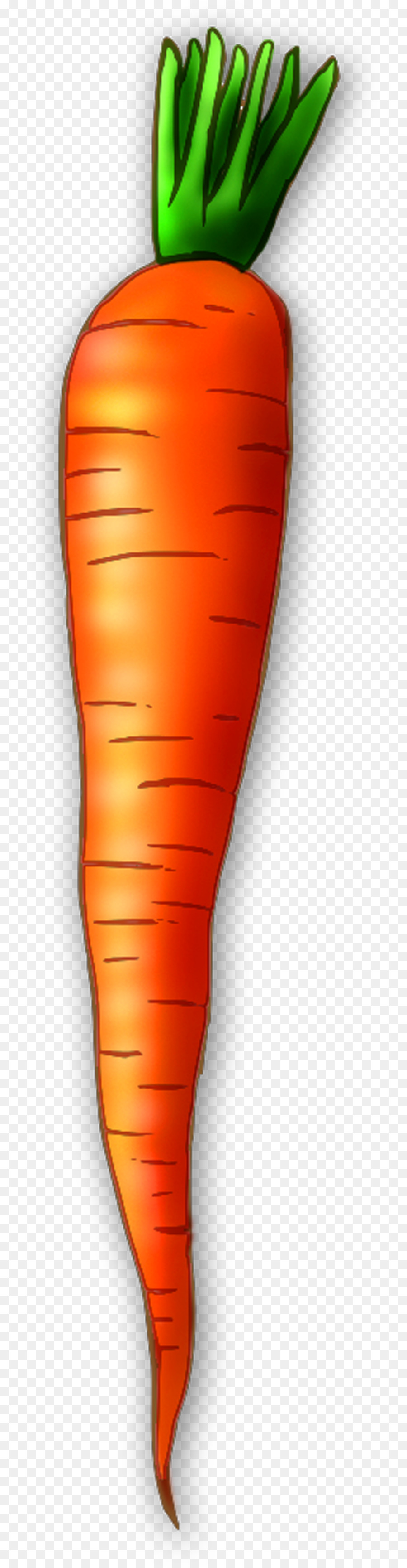 Carrot clipart red carrot. Cake salad clip art