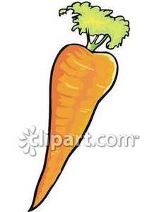 Baby border carrots . Carrot clipart single