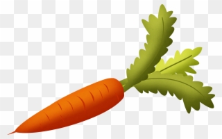 Carrot clipart steamed. Free png clip art