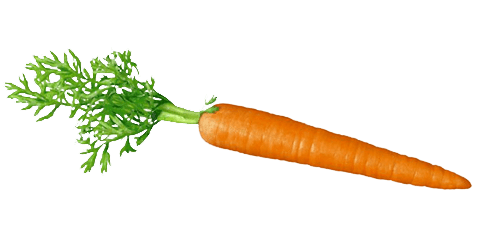 Png images free download. Carrot clipart transparent background