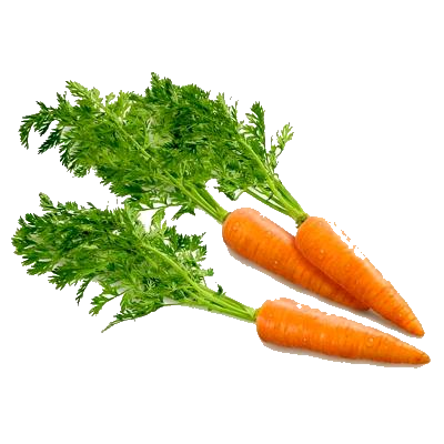 carrot clipart transparent background