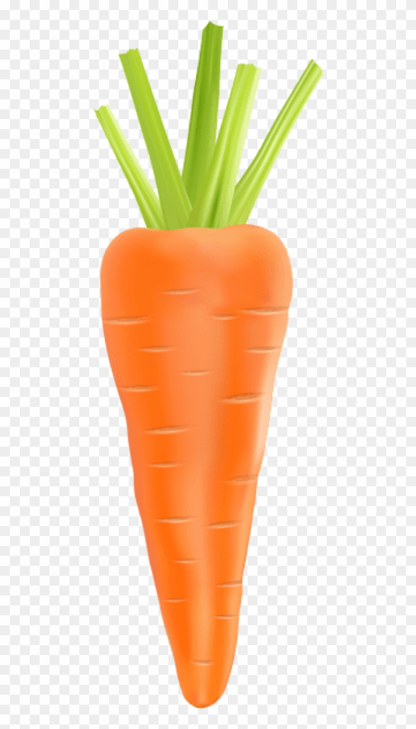 carrot clipart transparent background