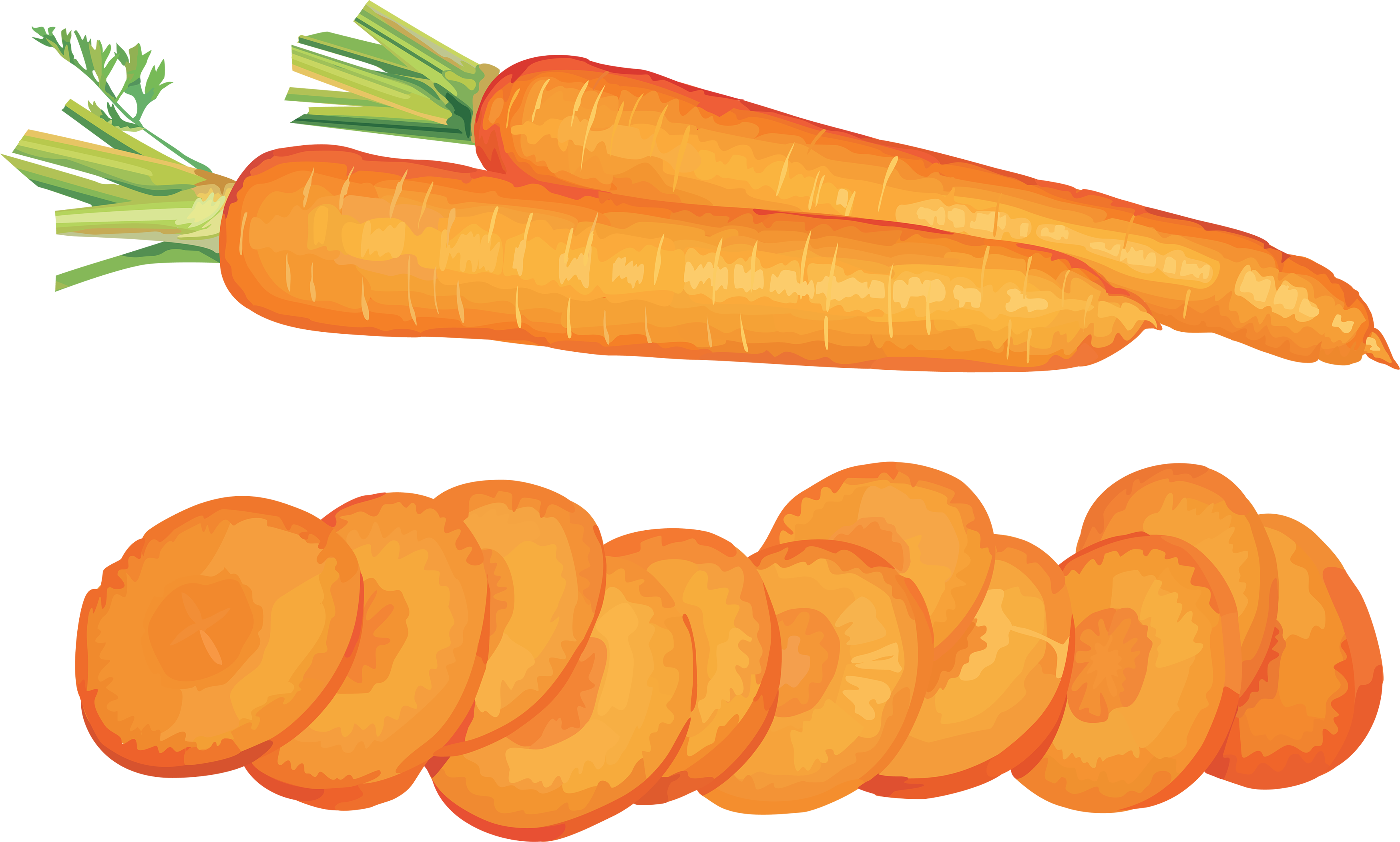 picture clipart carrot