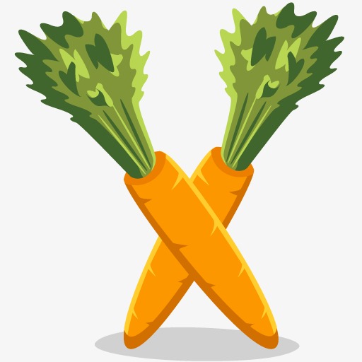 carrot clipart two