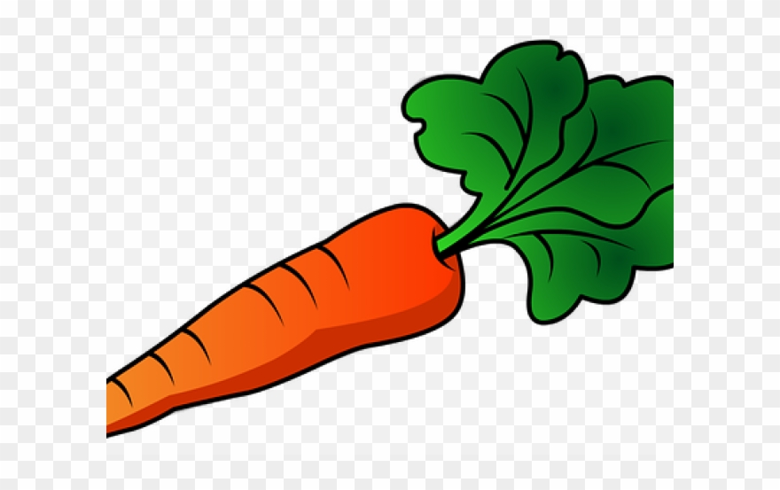 carrots clipart vegetable