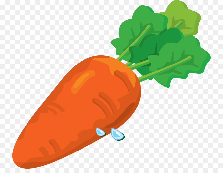 carrots clipart nutrition