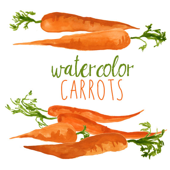 Carrots watercolor