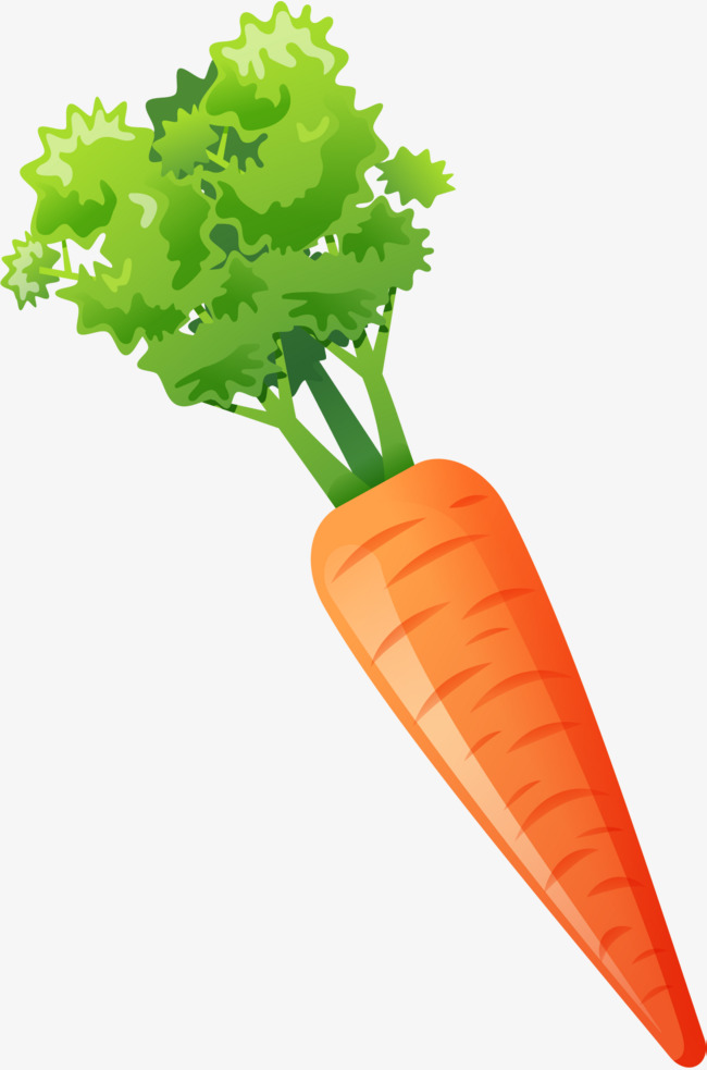 carrot clipart watercolor
