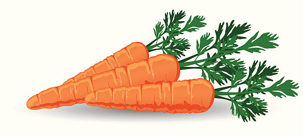 carrots clipart