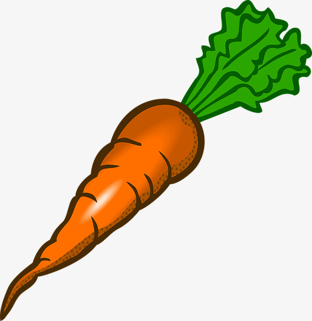 Organic carrots cartoon vegetables. Carrot clipart animated