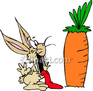 A bunny rabbit drooling. Carrots clipart big carrot