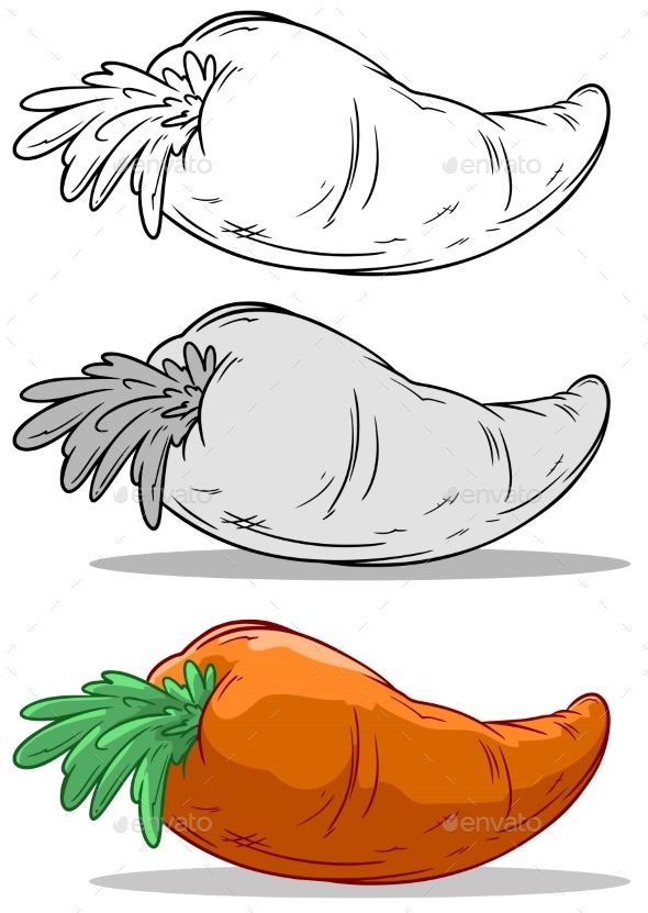 Cartoon orange vector set. Carrots clipart big carrot