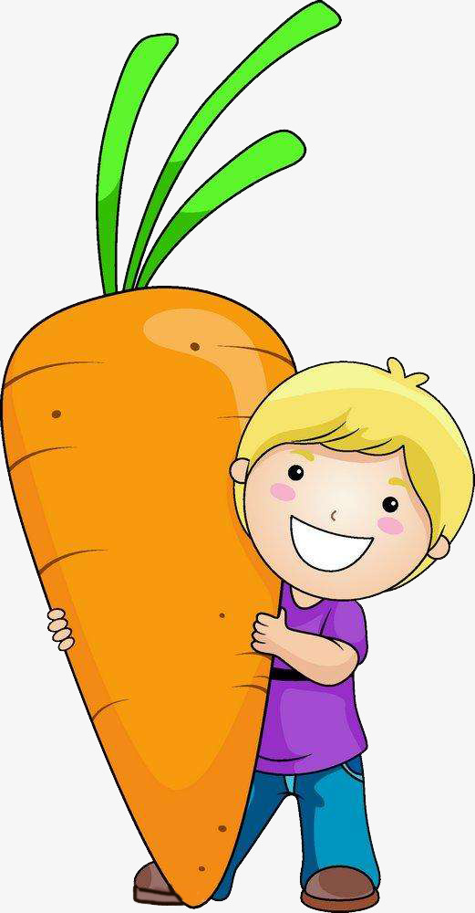 Carrots clipart big carrot. Holding hold something the