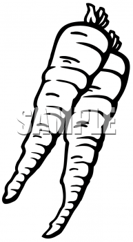 carrots clipart black and white
