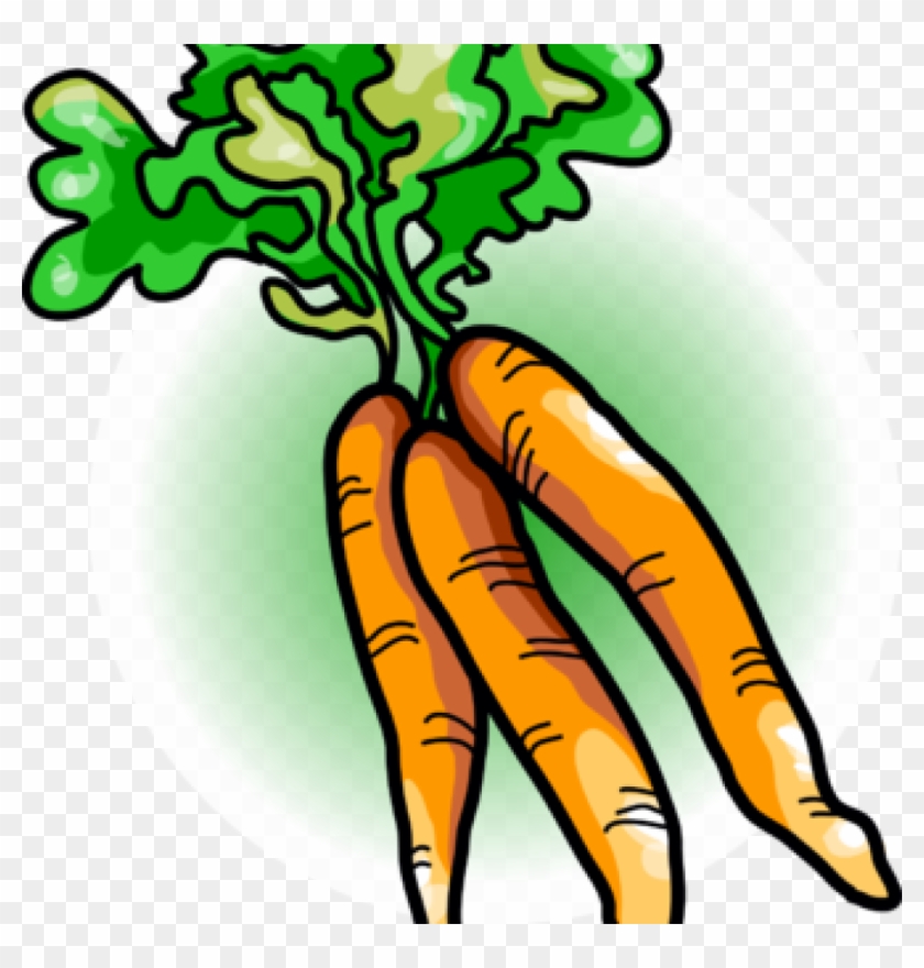 Carrots clipart caroot. Carrot free image food