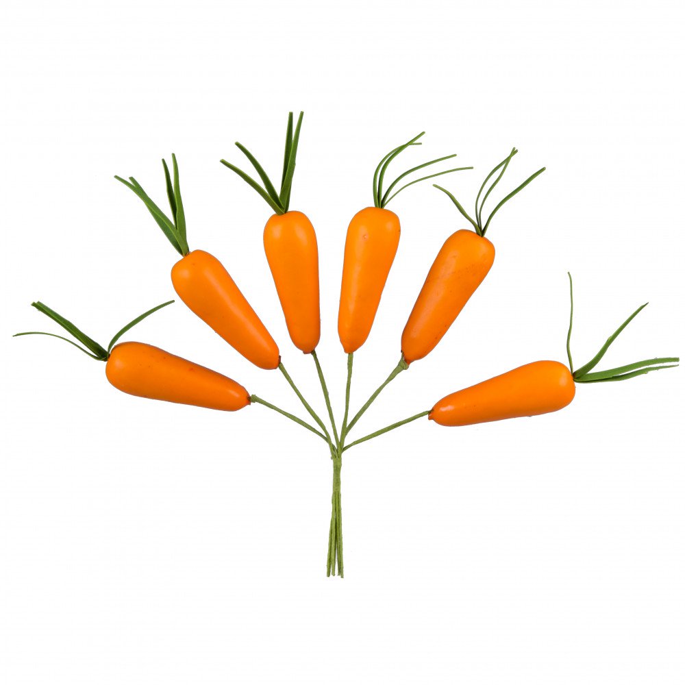 carrots clipart carrat