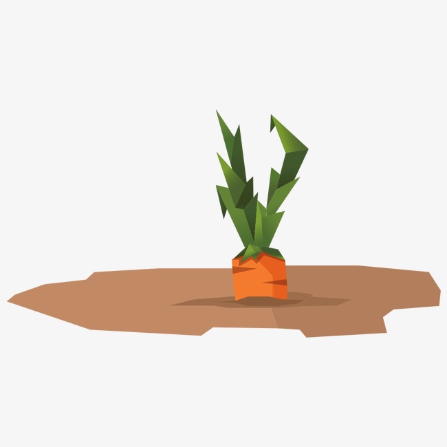carrots clipart carrot plant