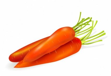 carrots clipart carrott