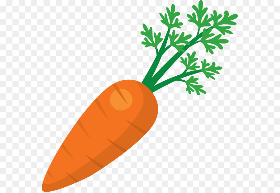 carrots clipart carrott