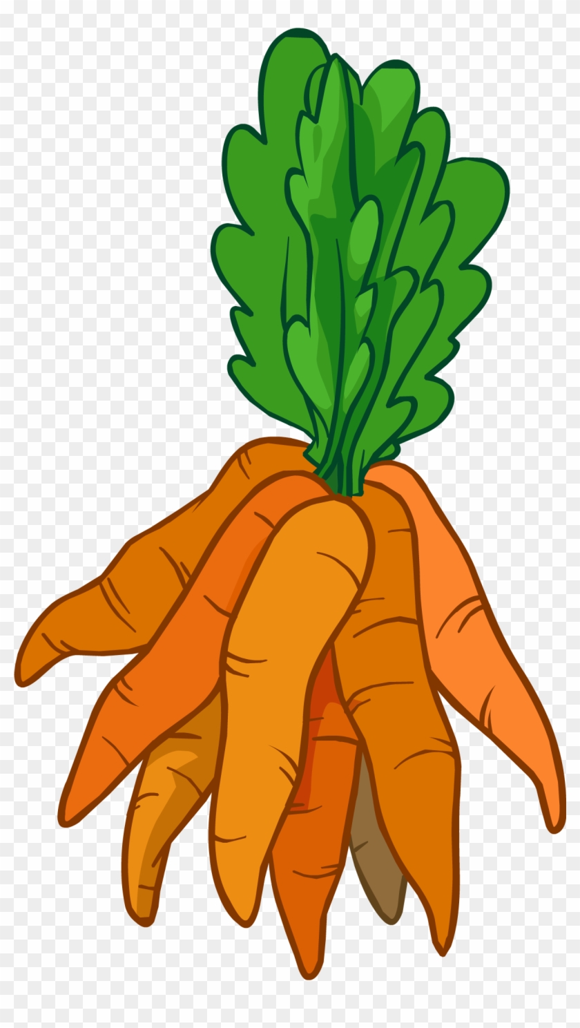 carrots clipart christmas