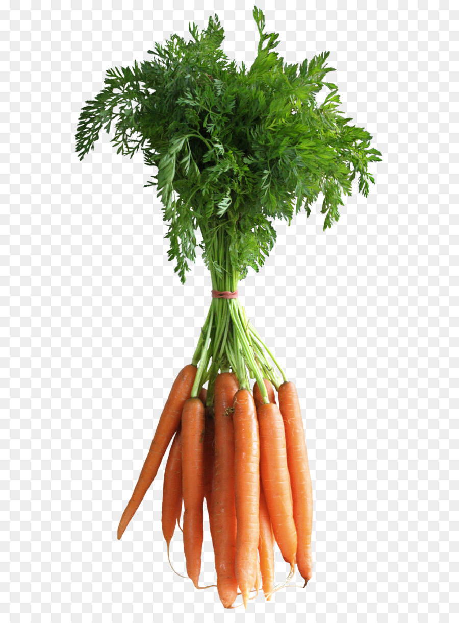 Vegetable computer carrots png. Carrot clipart file