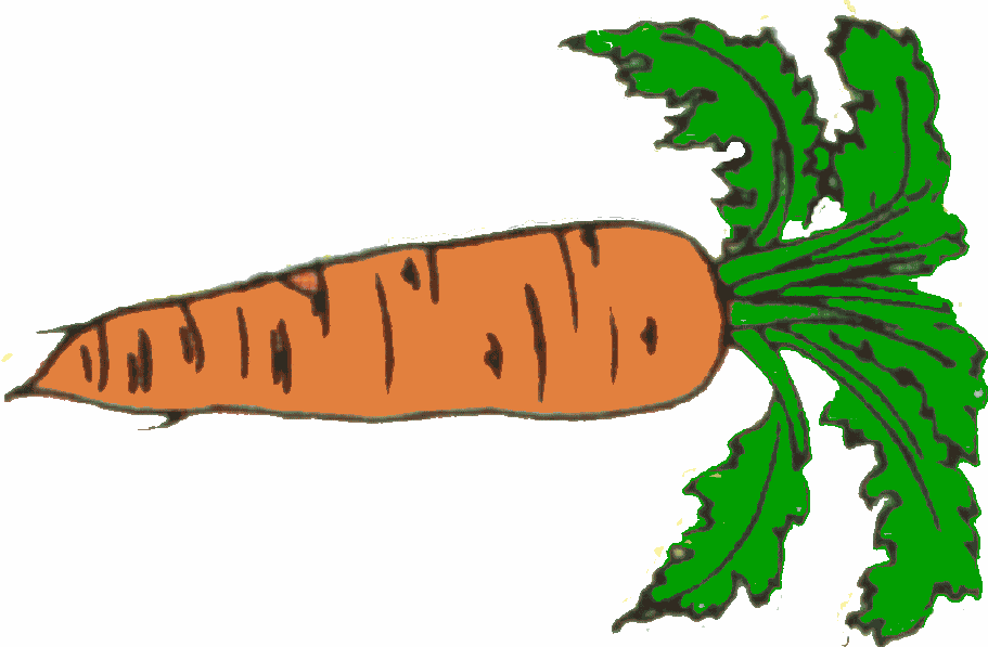 carrots clipart gajar