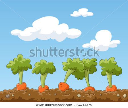carrots clipart garden