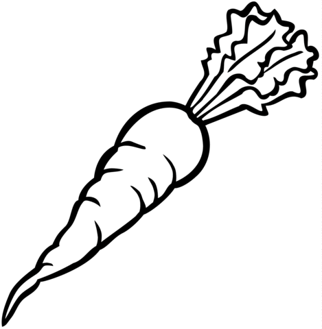 Carrot coloring page free. Carrots clipart printable