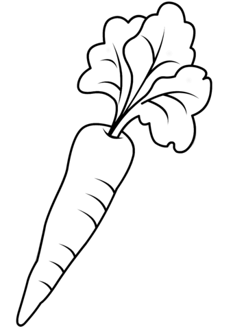 Carrots clipart printable. Carrot coloring page free